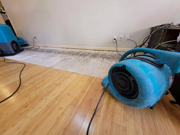 Professional Flood Damage Cleanup technician working in Grants Pass, OR
